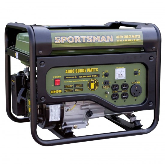 Buffalo Corp. Sportsman oline 4000 Watt Portable Generator - Green