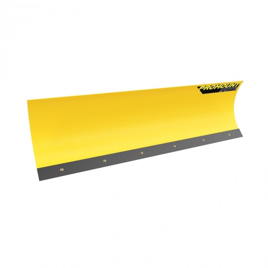 Can-Am New OEM ProMount Steel 54" (137 cm) Plow Blade Yellow, 715005316
